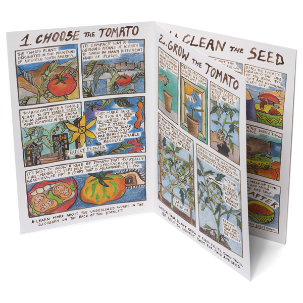 Comic Book: Adventures in Seed Saving #2: Tomato