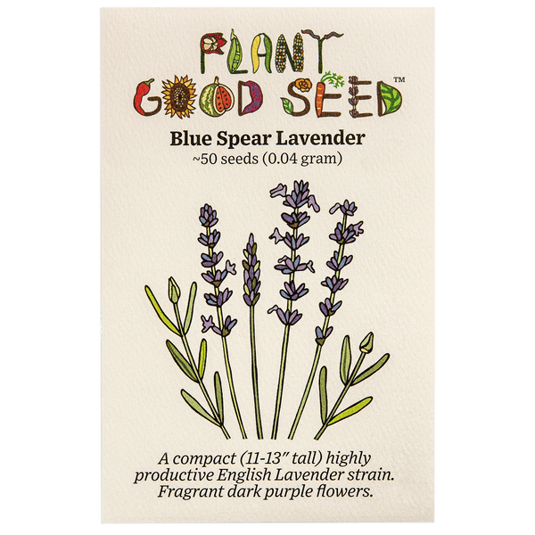 Blue Spear Lavender Seeds - The Plant Good Seed Company