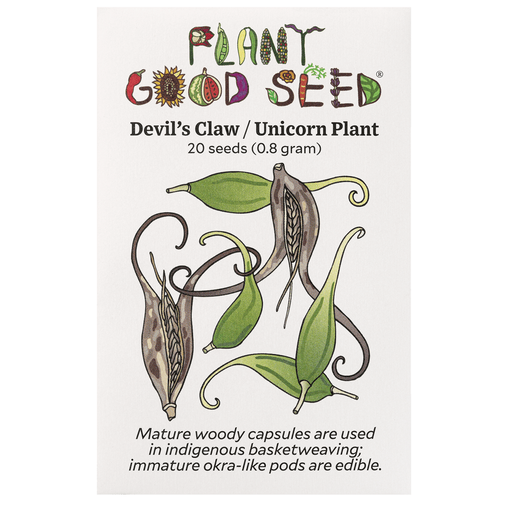 Devil&rsquo;s Claw / Unicorn Plant Seeds - The Plant Good Seed Company