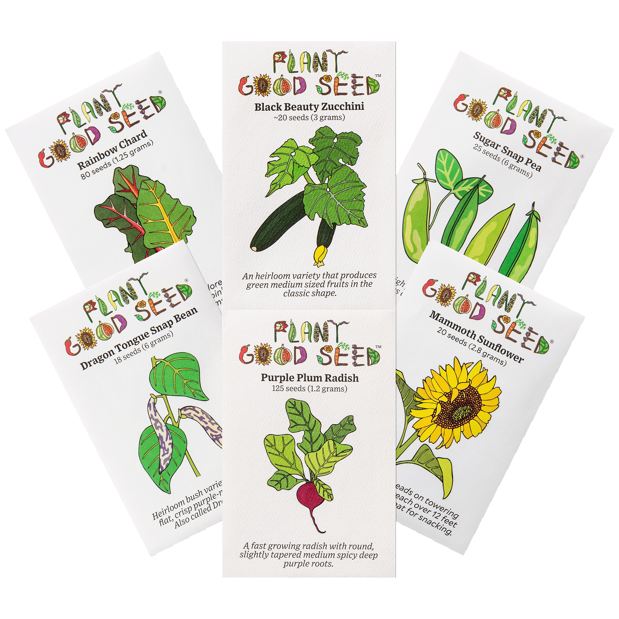 Beginning Gardeners Seed Packets Easy to Grow Varieites