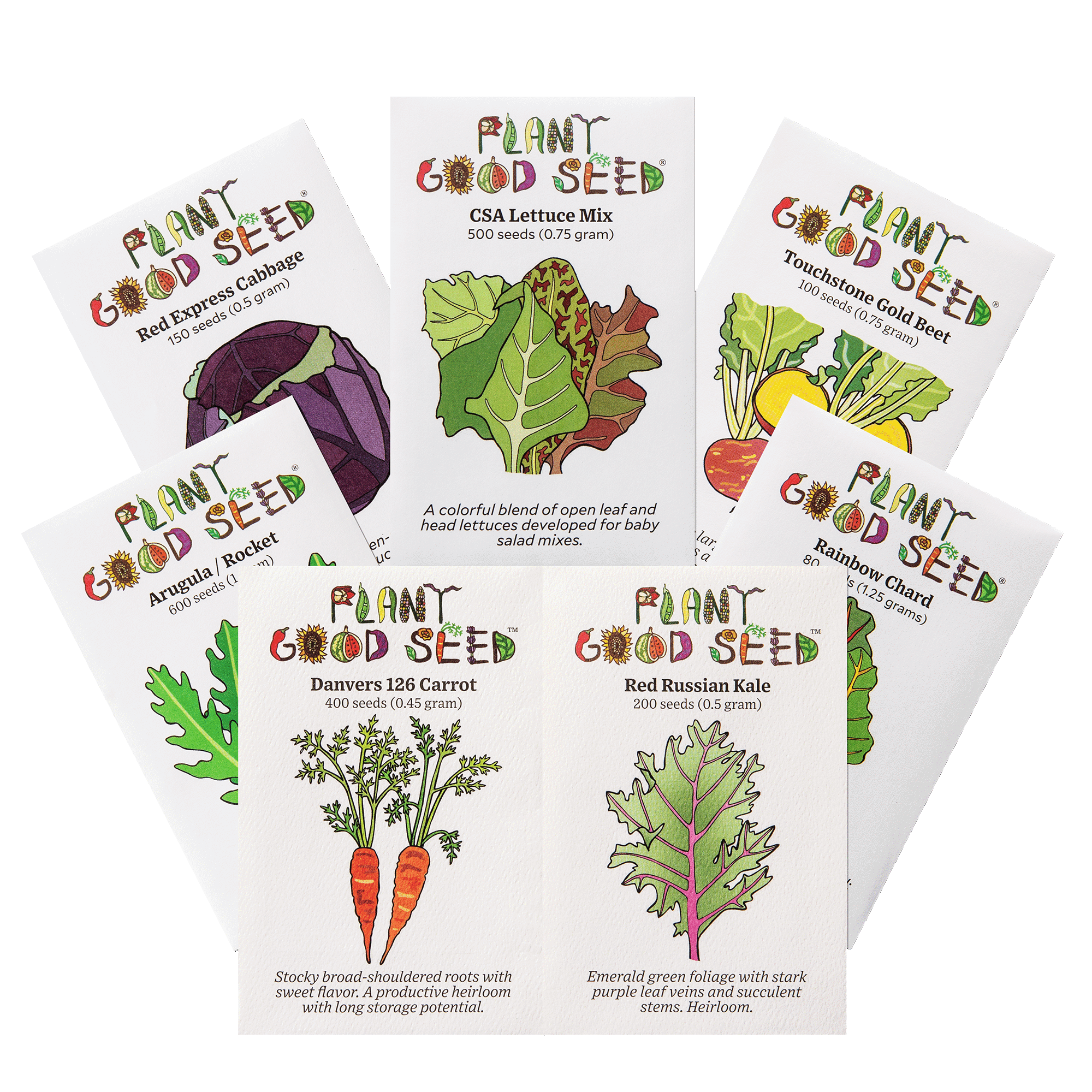 Fall Seed Collection Cabbage Lettuce Gold Beet Arugula Carrot Red Russian Kale Rainbow Chard