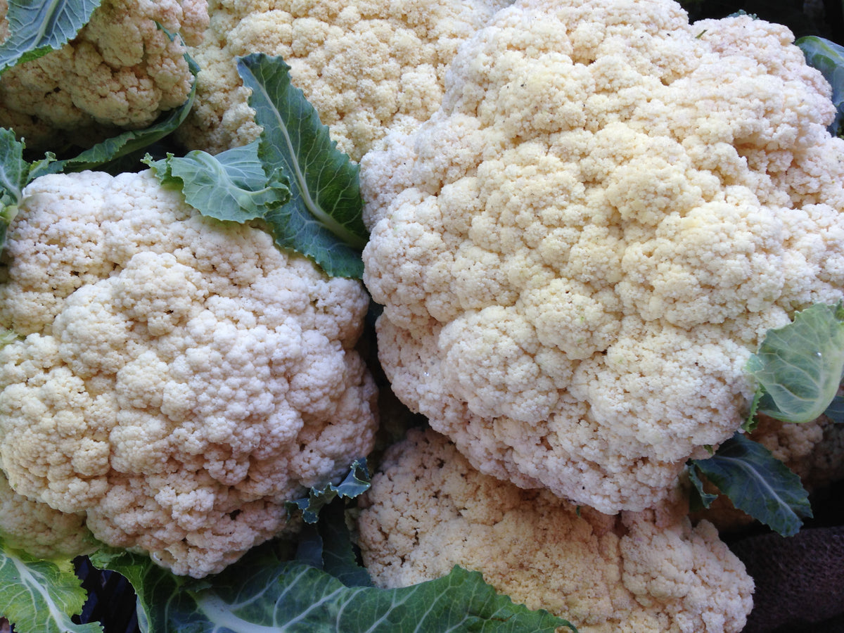 Snowball Cauliflower