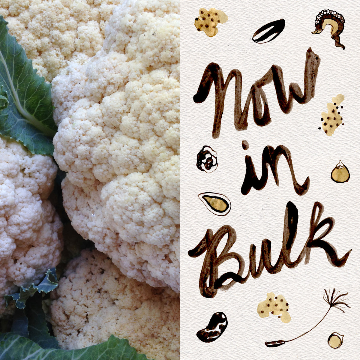 Snowball Cauliflower