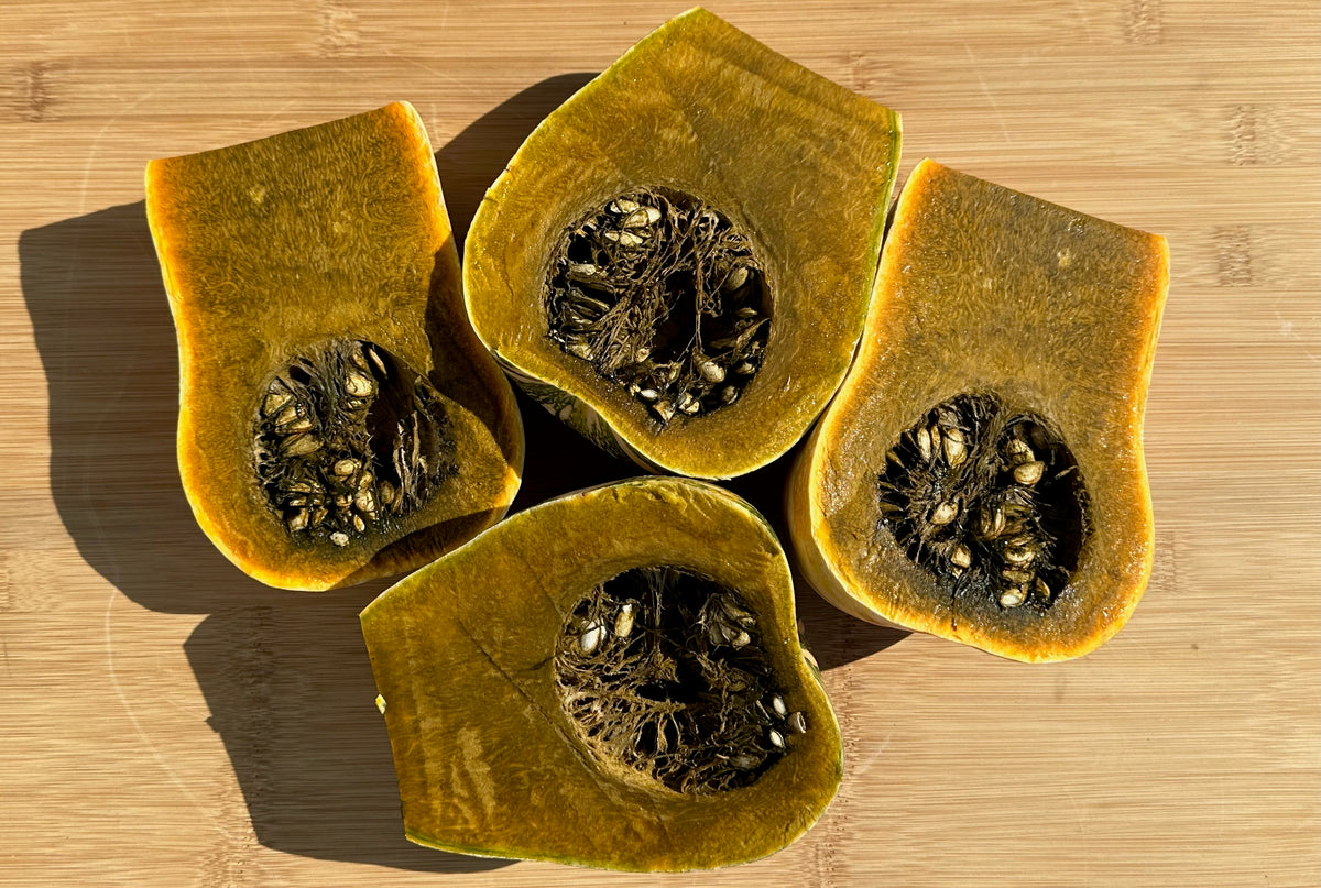 Green Fleshed Ayote Winter Squash