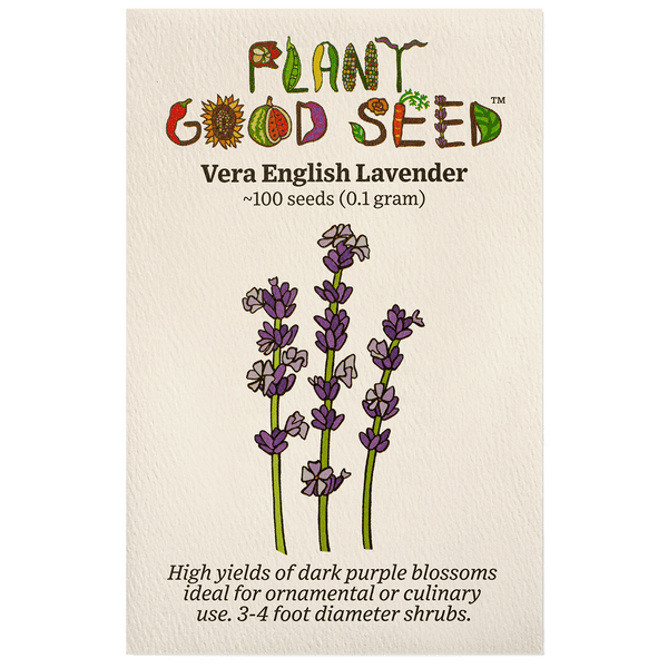 Vera English Lavender Seeds - The Plant Good Seed Company