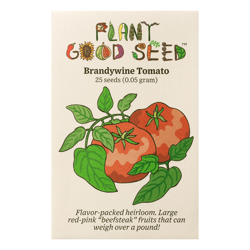 Brandywine Tomato Seeds The Plant Good Seed Company   Tomato Brandywine 2023 Packet1500x1500 800x 